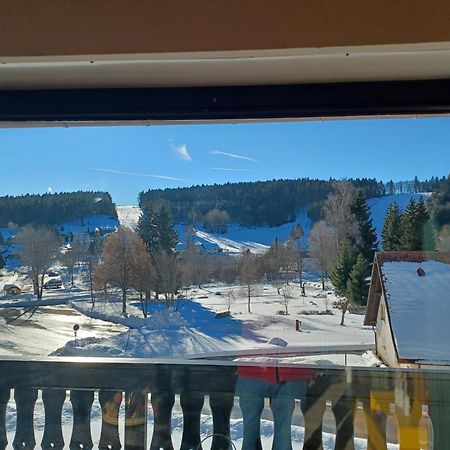 Schoene Ferienwohnung Im Suedschwarzwald Herrischried Εξωτερικό φωτογραφία