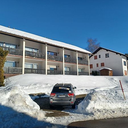 Schoene Ferienwohnung Im Suedschwarzwald Herrischried Εξωτερικό φωτογραφία